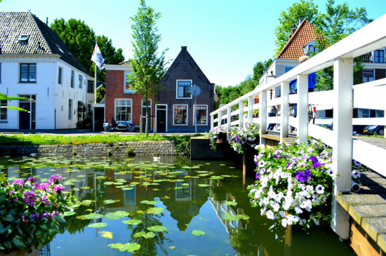 Zomerzoektocht